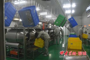 企業家訪談 四 乖寶 披荊斬棘探索前行 做中國寵物食品第一品牌