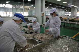 松江這家年銷售額超過50億元的食品工廠,你知道嗎