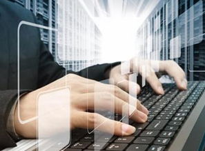 海歸就業不敵土著 真才實學的迷思與軟件輔助設備的反思